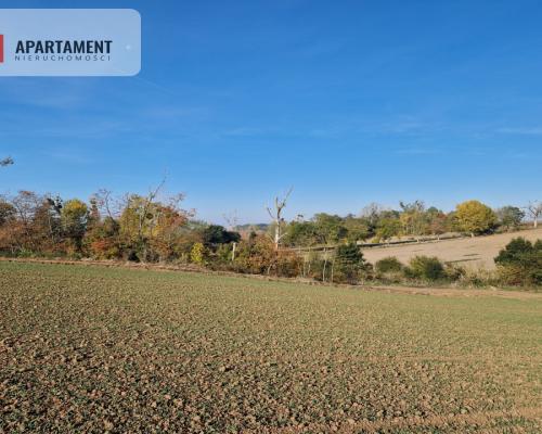 Działka z pięknym widokiem na jezioro Żnińskie