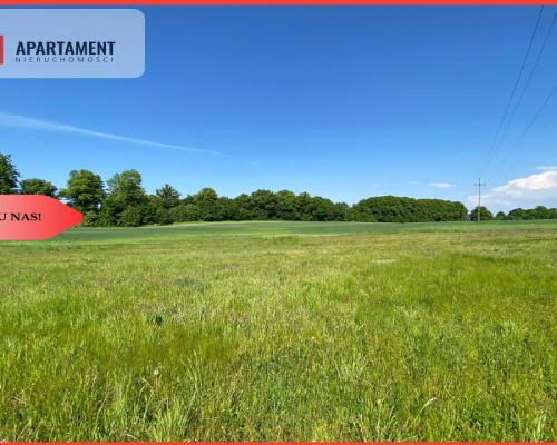 Działki z warunkami zabudowy. Tylko u nas!