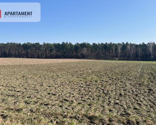 Działka budowlana w Ojrzanowie