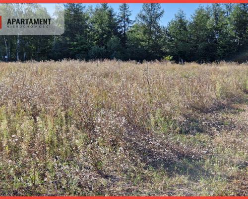 Działka z pozwoleniem na budowę blisko lasu