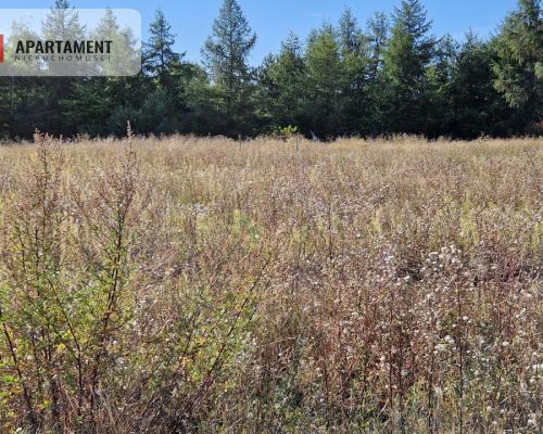 Działka z pozwoleniem na budowę blisko lasu