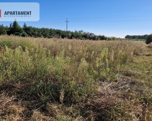 Działka z pozwoleniem na budowę blisko lasu