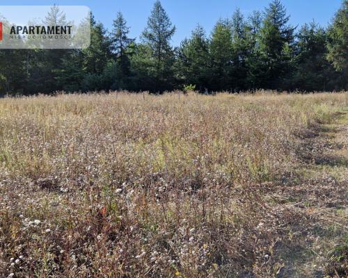 Działka z pozwoleniem na budowę blisko lasu