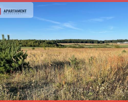 SPRZEDAM DWIE DZIAŁKI BUDOWLANE -ŚWIETNA LOKALIZA!