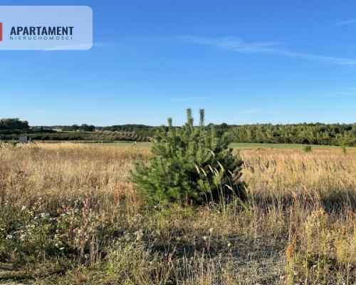 SPRZEDAM DWIE DZIAŁKI BUDOWLANE -ŚWIETNA LOKALIZA!