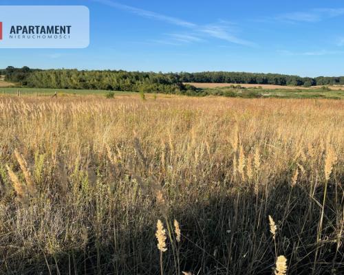 SPRZEDAM DWIE DZIAŁKI BUDOWLANE -ŚWIETNA LOKALIZA!