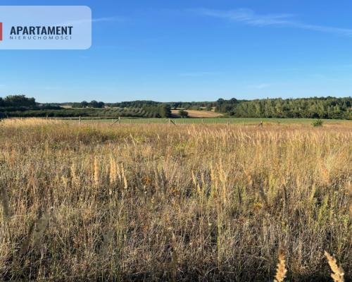 SPRZEDAM DWIE DZIAŁKI BUDOWLANE -ŚWIETNA LOKALIZA!