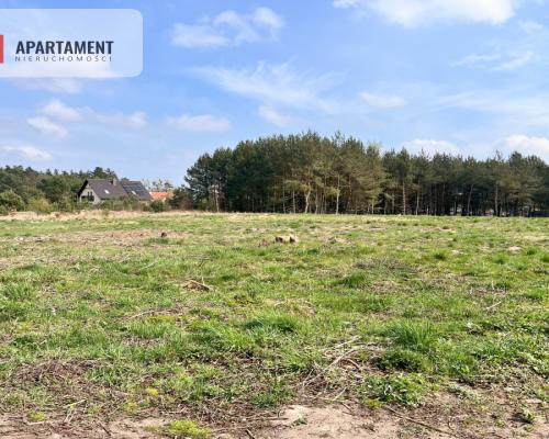 Działki Zabagno, blisko autostradyA1 do negocjacji