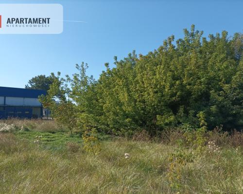 Działka inwestycyjna z potencjałem!