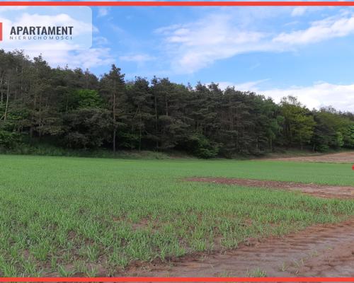 Atrakcyjne działki budowlane w Załachowie!