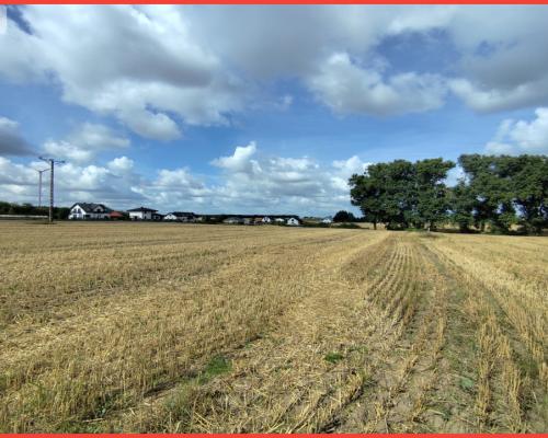 Działka z warunkami zabudowy, blisko Więcborka!