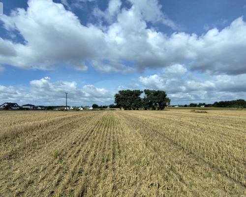 Działka z warunkami zabudowy, blisko Więcborka!