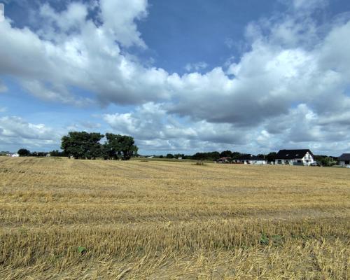 Działka z warunkami zabudowy, blisko Więcborka!