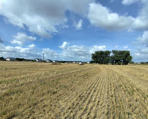 Działka z warunkami zabudowy, blisko Więcborka!