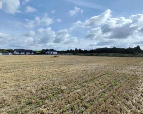 Działka z warunkami zabudowy, blisko Więcborka!