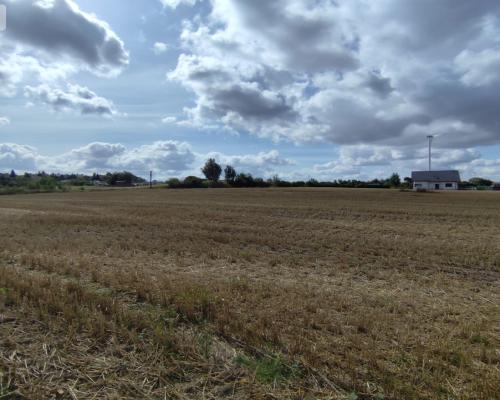 Działka z warunkami zabudowy, blisko Więcborka!