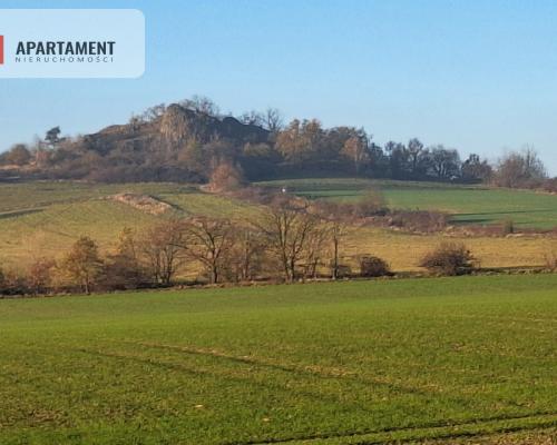 Działka rolna w cichej okolicy!