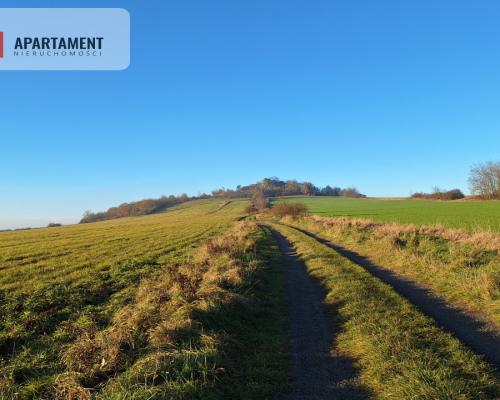 Działka rolna w cichej okolicy!