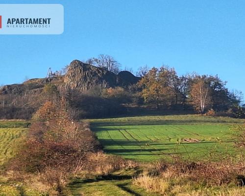 Działka rolna w cichej okolicy!