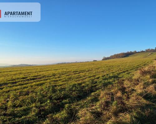 Działka rolna w cichej okolicy!