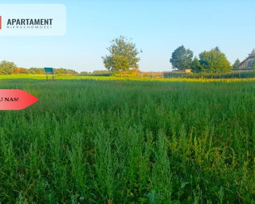 TYLKO U NAS !!! ATRAKCYJNA JEDNA Z OSTATNICH