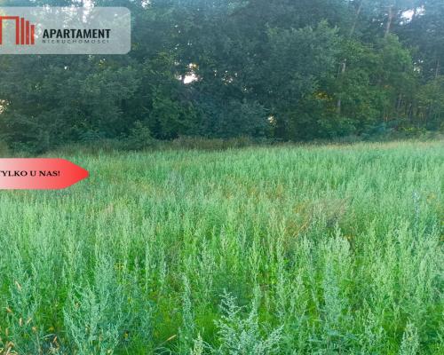 TYLKO U NAS !!! ATRAKCYJNA JEDNA Z OSTATNICH