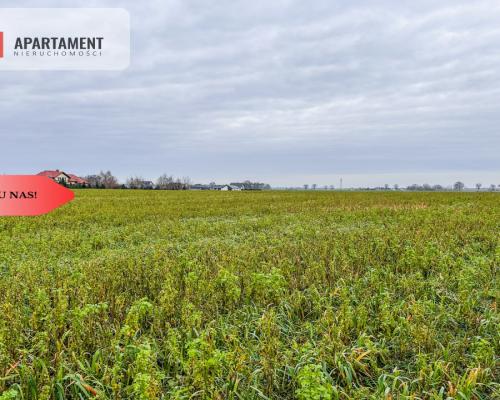 Tylko u nas! Działka 0,55 ha Łubianka k. jeziora