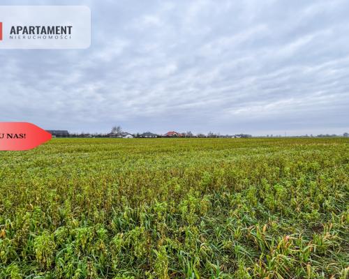 Tylko u nas! Działka 0,55 ha Łubianka k. jeziora