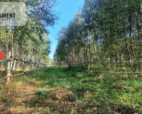 Tylko u Nas! Działki budowlane 15 minut od Gniezna