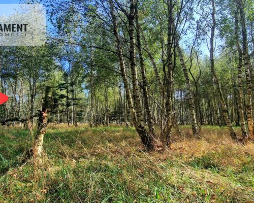 Tylko u Nas! Działki budowlane 15 minut od Gniezna