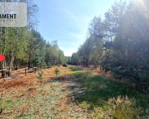 Tylko u Nas! Działki budowlane 15 minut od Gniezna