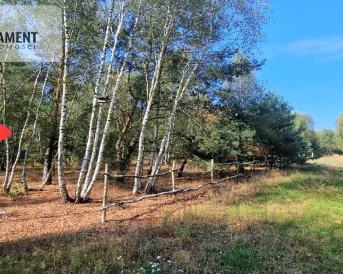 Tylko u Nas! Działki budowlane 15 minut od Gniezna