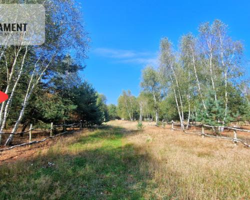 Tylko u Nas! Działki budowlane 15 minut od Gniezna
