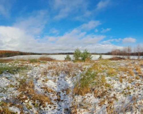 Atrakcyjna działka 3047 m² w Kielnie