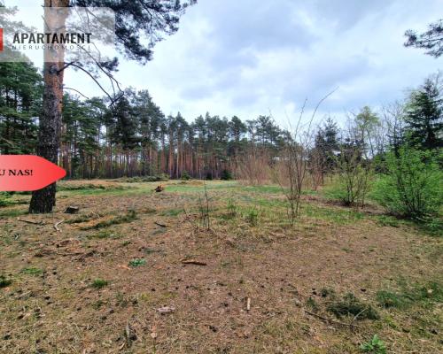 Działki z linią brzegową jeziora pod Toruniem