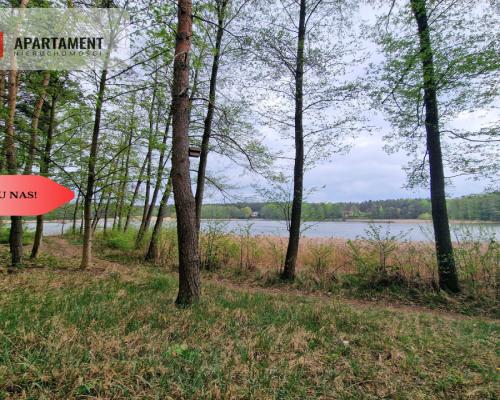 Działki z linią brzegową jeziora pod Toruniem
