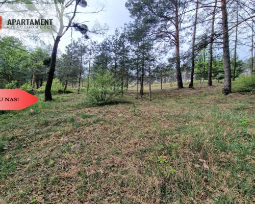 Działki z linią brzegową jeziora pod Toruniem