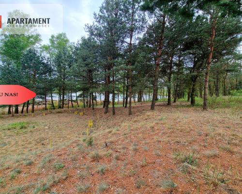 Działki z linią brzegową jeziora pod Toruniem