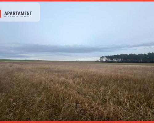 Działki z warunkami zabudowy 1075m2