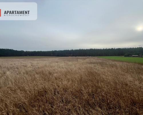 Działki z warunkami zabudowy 1075m2