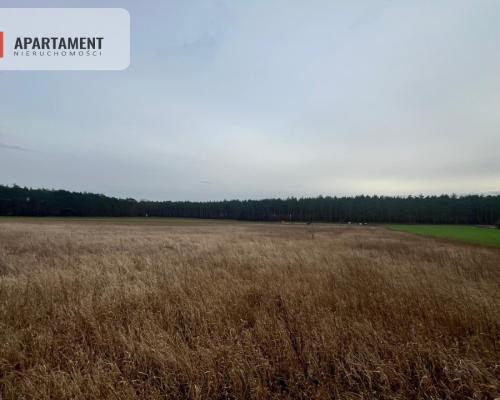 Działki z warunkami zabudowy 1075m2