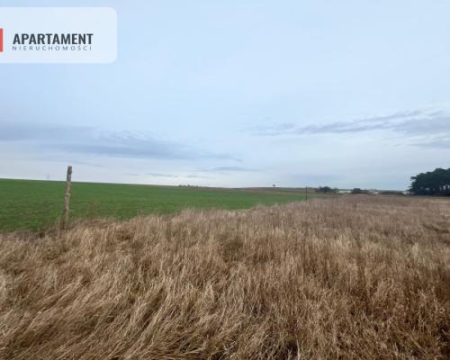 Działki z warunkami zabudowy 1075m2