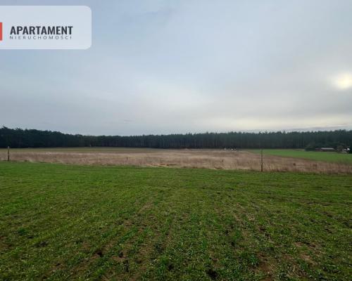 Działki z warunkami zabudowy 1075m2