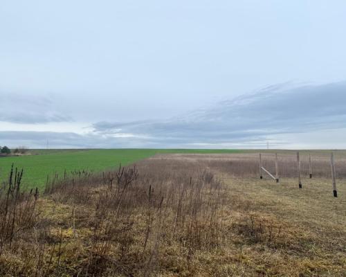 Działki z warunkami zabudowy 1075m2