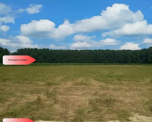 Piękna działka na Mazurach | 500m do jeziora