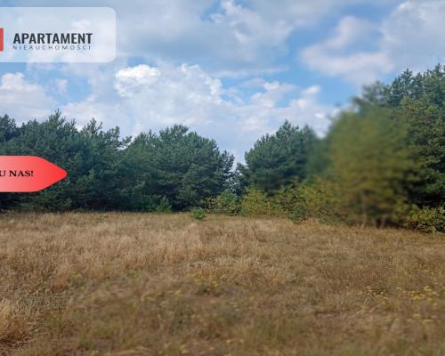 Działka Cekcyn obok lasu, jezior ,budowlana !