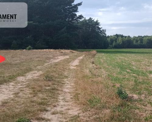 Działka Cekcyn obok lasu, jezior ,budowlana !