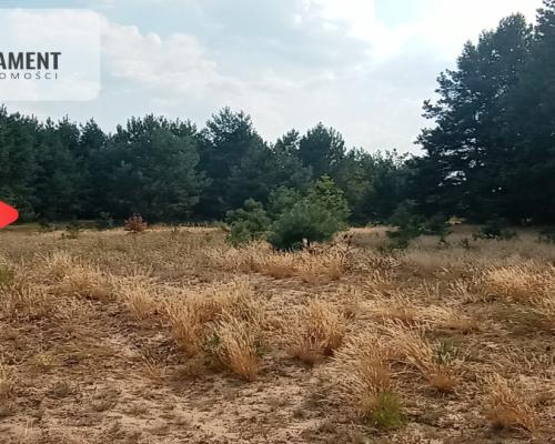 Działka Cekcyn obok lasu, jezior ,budowlana !