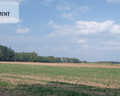 Działka Cekcyn obok lasu, jezior ,budowlana !