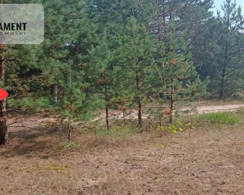 Działka Cekcyn obok lasu, jezior ,budowlana !